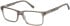 CAT CTO-3036 glasses in Brown