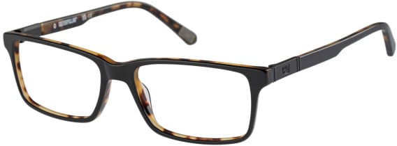 CAT CTO-3036 glasses in Black