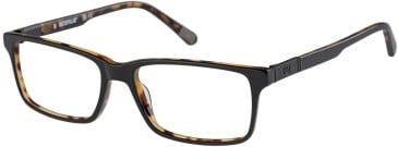 CAT CTO-3036 glasses in Black