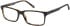 CAT CTO-3036 glasses in Black