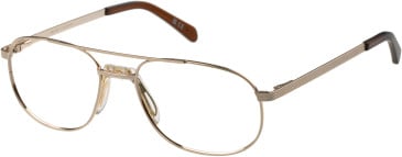 Hero HRO-4331 glasses in Gold