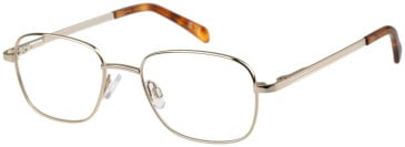 Hero HRO-4334 glasses in Gold