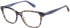 Superdry SDO-3030 glasses in Brown