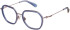 Superdry SDO-3032 glasses in Blue