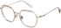 Superdry SDO-3032 glasses in Clear