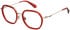 Superdry SDO-3032 glasses in Red