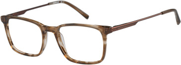 CAT CPO-3531 glasses in Brown
