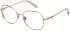 Superdry SDO-3033 glasses in Gold