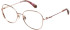 Superdry SDO-3033 glasses in Purple