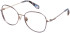 Superdry SDO-3033 glasses in Pink