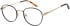 SFE-11408 glasses in Black