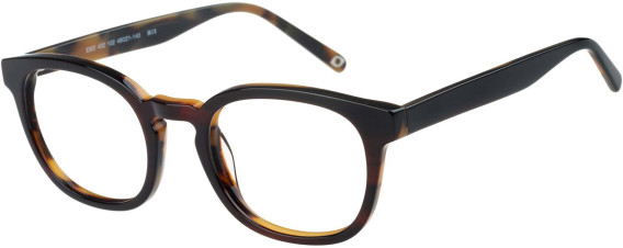 SFE-11405 glasses in Tortoise