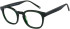 SFE-11405 glasses in Green