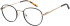 SFE-11408 glasses in Black
