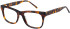 SFE-11410 glasses in Tortoise