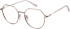 SFE-11411 glasses in Gold