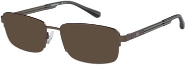 CAT CTO-3031 sunglasses in Brown