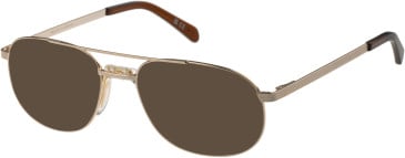 Hero HRO-4331 sunglasses in Gold