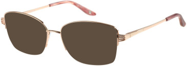 Puccini PCO-342 sunglasses in Gold
