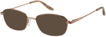 Puccini PCO-347 sunglasses in Gold