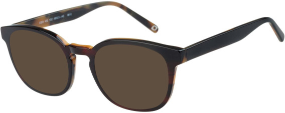 SFE-11405 sunglasses in Tortoise