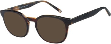 SFE-11405 sunglasses in Tortoise