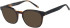 SFE-11405 sunglasses in Tortoise