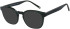 SFE-11405 sunglasses in Green