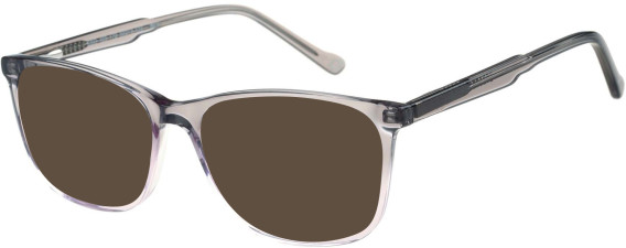 SFE-11406 sunglasses in Grey
