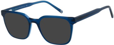 SFE-11409 sunglasses in Blue