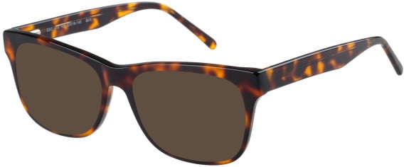 SFE-11410 sunglasses in Tortoise