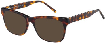 SFE-11410 sunglasses in Tortoise