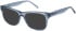 SFE-11410 sunglasses in Blue