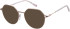 SFE-11411 sunglasses in Gold