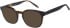SFE-11405 sunglasses in Tortoise