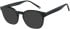 SFE-11405 sunglasses in Green
