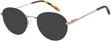 SFE-11408 sunglasses in Black
