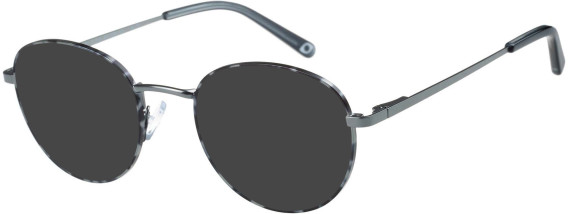 SFE-11408 sunglasses in Tortoise