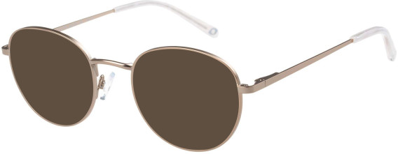 SFE-11408 sunglasses in Gold