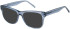 SFE-11410 sunglasses in Blue