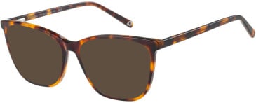 SFE-11412 sunglasses in Tortoise