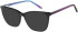 SFE-11412 sunglasses in Black
