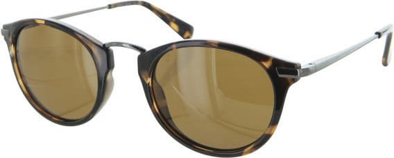 Cole Haan CH7051 sunglasses in Dark Tortoise