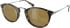 Cole Haan CH7051 sunglasses in Dark Tortoise