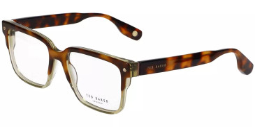 Ted Baker TB8293 glasses in Tortoise/Crystal