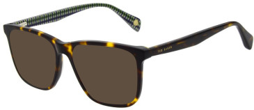Ted Baker TB8288 sunglasses in Dark Tort