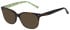 Ted Baker TB9254 sunglasses in Tortoise