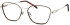 Mini 742027 glasses in Tortoise