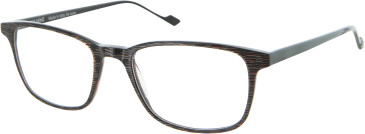 Vanni V1307 glasses in Brown/Black