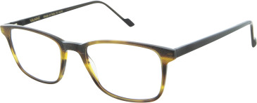 Vanni V2150 glasses in Havana/Black